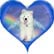 order form for your Pet Memorial Jewelry