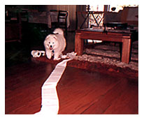 TP in front room