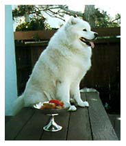 Sitting on table with trophy